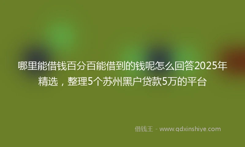 哪里能借钱百分百能借到的钱呢怎么回答2025年精选，整理5个苏州黑户贷款5万的平台