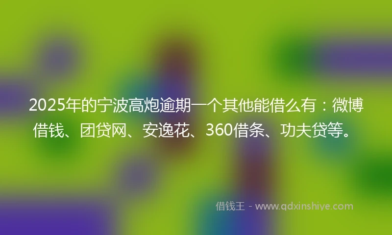2025年的宁波高炮逾期一个其他能借么有：微博借钱、团贷网、安逸花、360借条、功夫贷等。