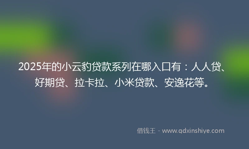 2025年的小云豹贷款系列在哪入口有：人人贷、好期贷、拉卡拉、小米贷款、安逸花等。