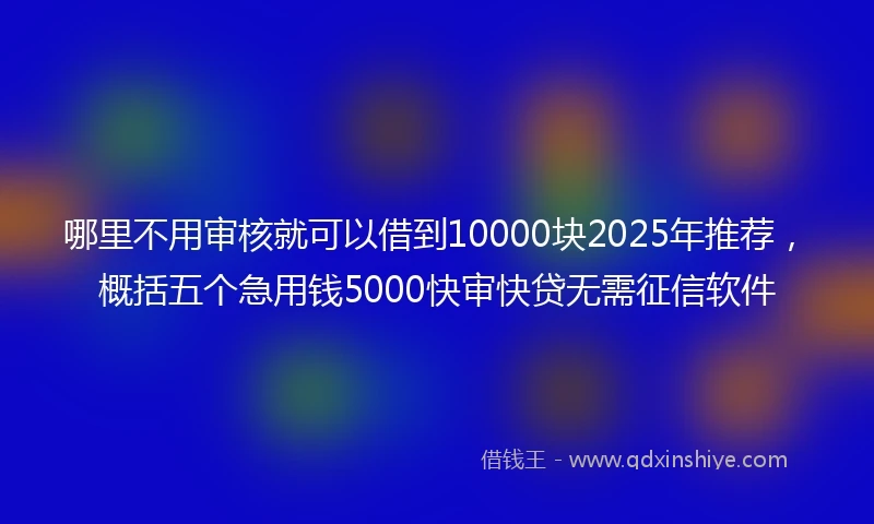 哪里不用审核就可以借到10000块2025年推荐，概括五个急用钱5000快审快贷无需征信软件
