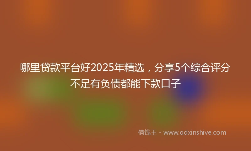 哪里贷款平台好2025年精选，分享5个综合评分不足有负债都能下款口子