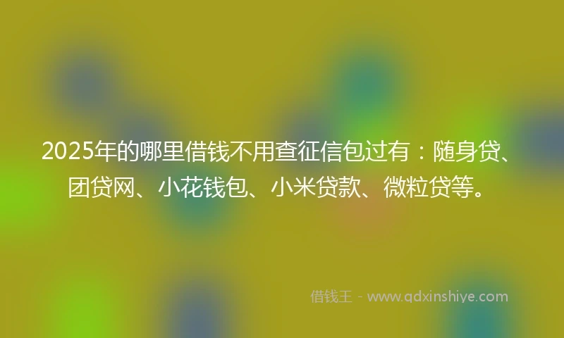 2025年的哪里借钱不用查征信包过有：随身贷、团贷网、小花钱包、小米贷款、微粒贷等。