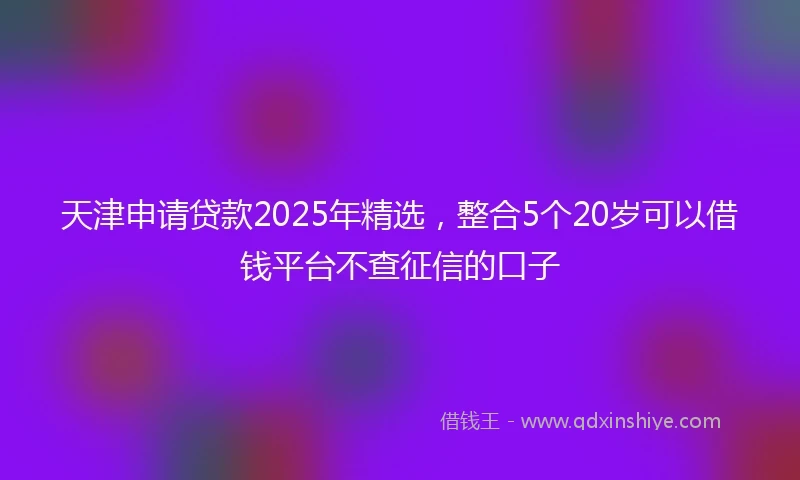 天津申请贷款2025年精选，整合5个20岁可以借钱平台不查征信的口子