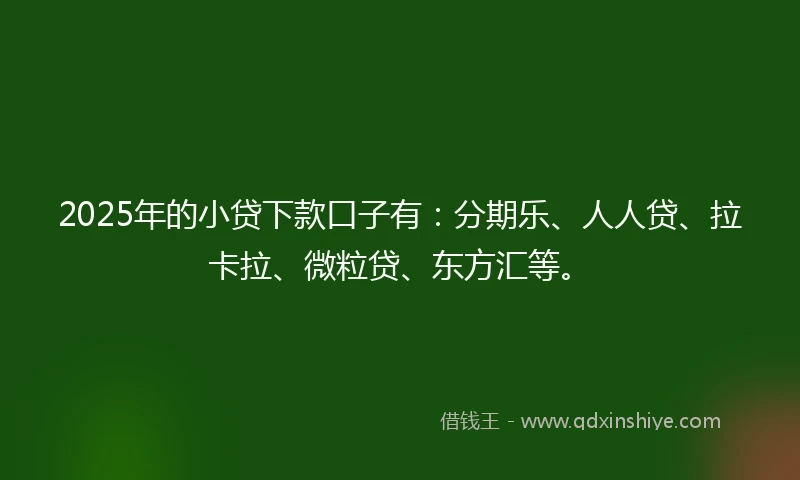 2025年的小贷下款口子有：分期乐、人人贷、拉卡拉、微粒贷、东方汇等。