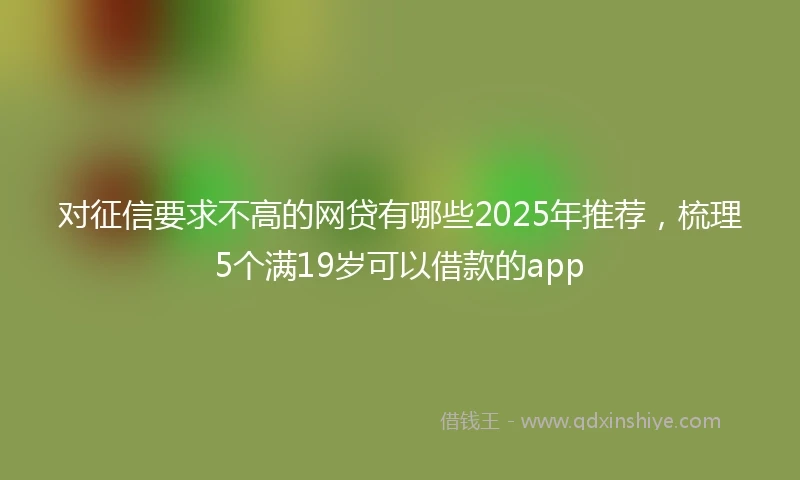 对征信要求不高的网贷有哪些2025年推荐，梳理5个满19岁可以借款的app