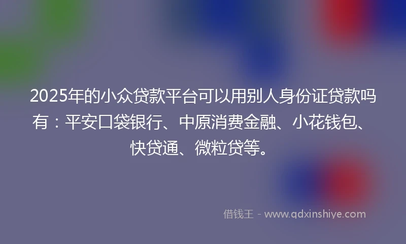 2025年的小众贷款平台可以用别人身份证贷款吗有：平安口袋银行、中原消费金融、小花钱包、快贷通、微粒贷等。