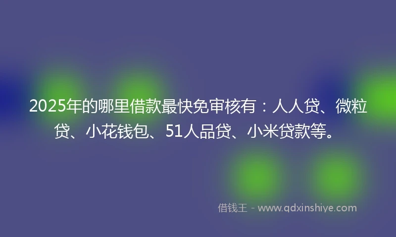 2025年的哪里借款最快免审核有：人人贷、微粒贷、小花钱包、51人品贷、小米贷款等。