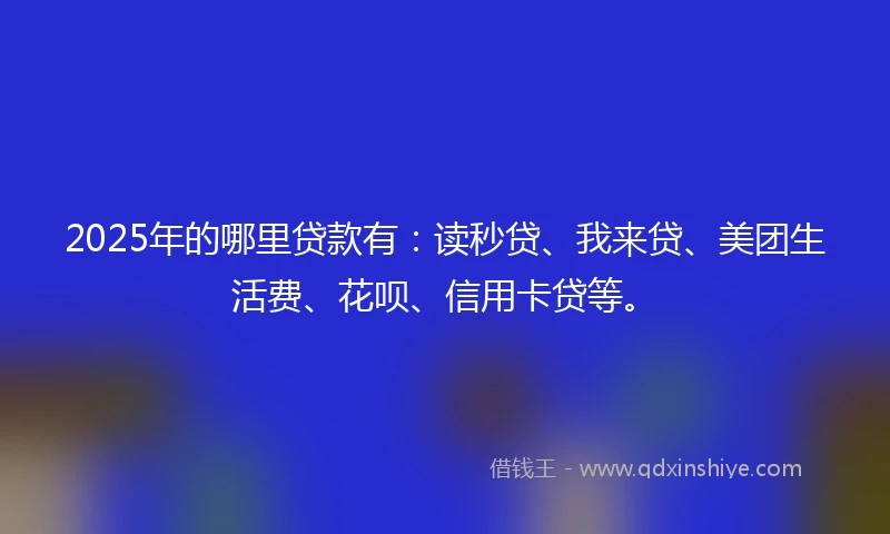 2025年的哪里贷款有：读秒贷、我来贷、美团生活费、花呗、信用卡贷等。