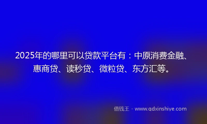 2025年的哪里可以贷款平台有：中原消费金融、惠商贷、读秒贷、微粒贷、东方汇等。