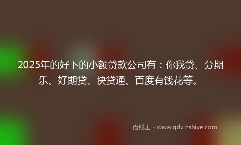 2025年的好下的小额贷款公司有：你我贷、分期乐、好期贷、快贷通、百度有钱花等。