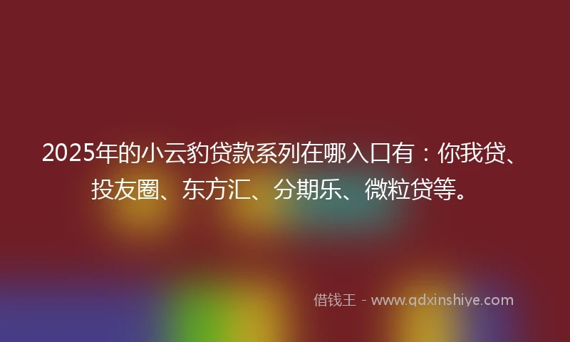 2025年的小云豹贷款系列在哪入口有：你我贷、投友圈、东方汇、分期乐、微粒贷等。
