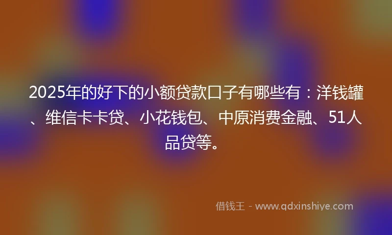 2025年的好下的小额贷款口子有哪些有：洋钱罐、维信卡卡贷、小花钱包、中原消费金融、51人品贷等。