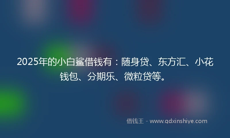 2025年的小白鲨借钱有：随身贷、东方汇、小花钱包、分期乐、微粒贷等。
