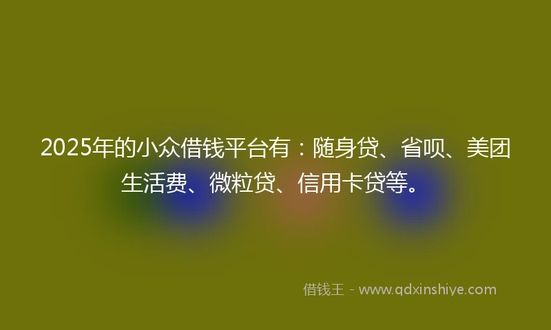 2025年的小众借钱平台有：随身贷、省呗、美团生活费、微粒贷、信用卡贷等。