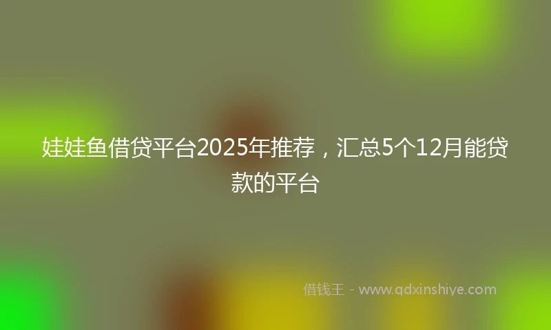 娃娃鱼借贷平台2025年推荐，汇总5个12月能贷款的平台