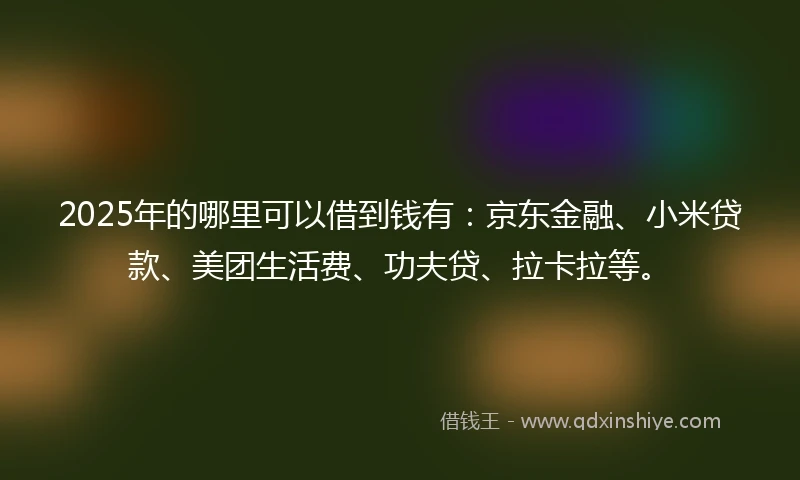 2025年的哪里可以借到钱有：京东金融、小米贷款、美团生活费、功夫贷、拉卡拉等。