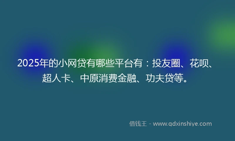2025年的小网贷有哪些平台有：投友圈、花呗、超人卡、中原消费金融、功夫贷等。