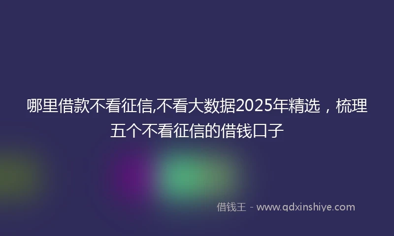 哪里借款不看征信,不看大数据2025年精选，梳理五个不看征信的借钱口子