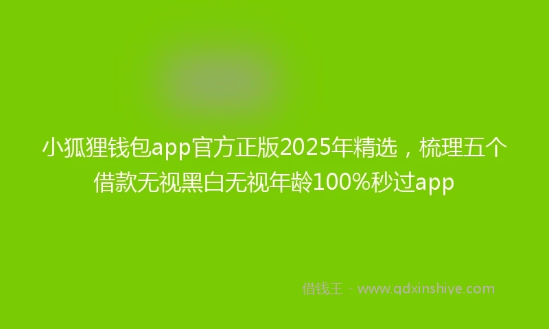 小狐狸钱包app官方正版2025年精选，梳理五个借款无视黑白无视年龄100%秒过app