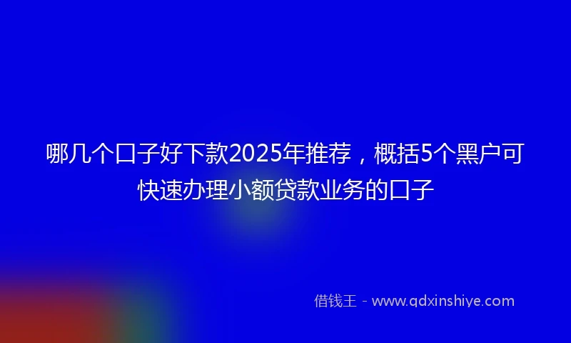 哪几个口子好下款2025年推荐，概括5个黑户可快速办理小额贷款业务的口子