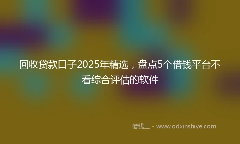 回收贷款口子2025年精选，盘点5个借钱平台不看综合评估的软件