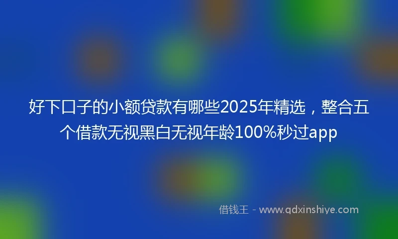 好下口子的小额贷款有哪些2025年精选，整合五个借款无视黑白无视年龄100%秒过app