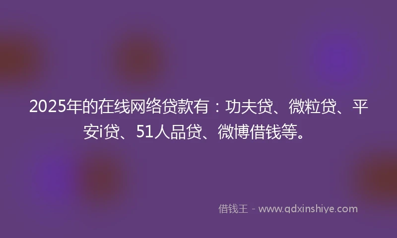 2025年的在线网络贷款有：功夫贷、微粒贷、平安i贷、51人品贷、微博借钱等。