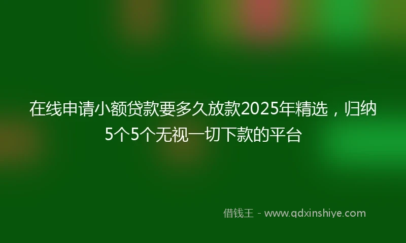 在线申请小额贷款要多久放款2025年精选，归纳5个5个无视一切下款的平台