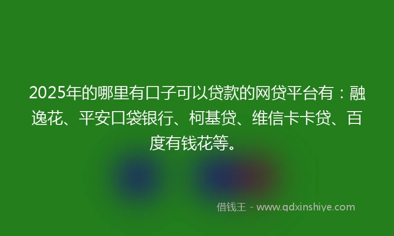 2025年的哪里有口子可以贷款的网贷平台有：融逸花、平安口袋银行、柯基贷、维信卡卡贷、百度有钱花等。