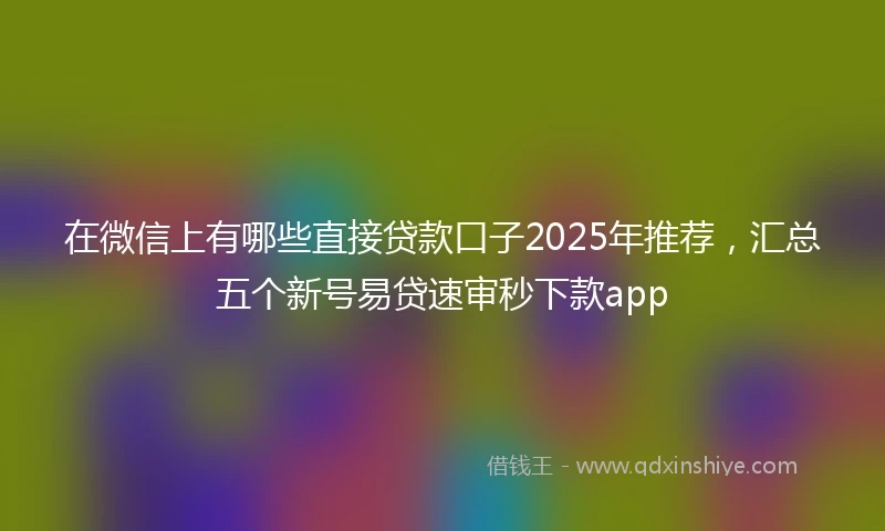 在微信上有哪些直接贷款口子2025年推荐，汇总五个新号易贷速审秒下款app