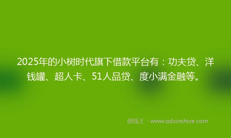 2025年的小树时代旗下借款平台有：功夫贷、洋钱罐、超人卡、51人品贷、度小满金融等。