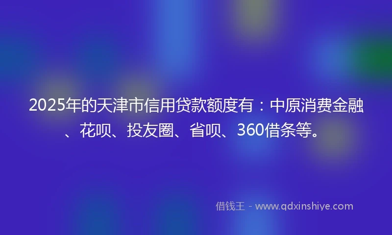 2025年的天津市信用贷款额度有：中原消费金融、花呗、投友圈、省呗、360借条等。