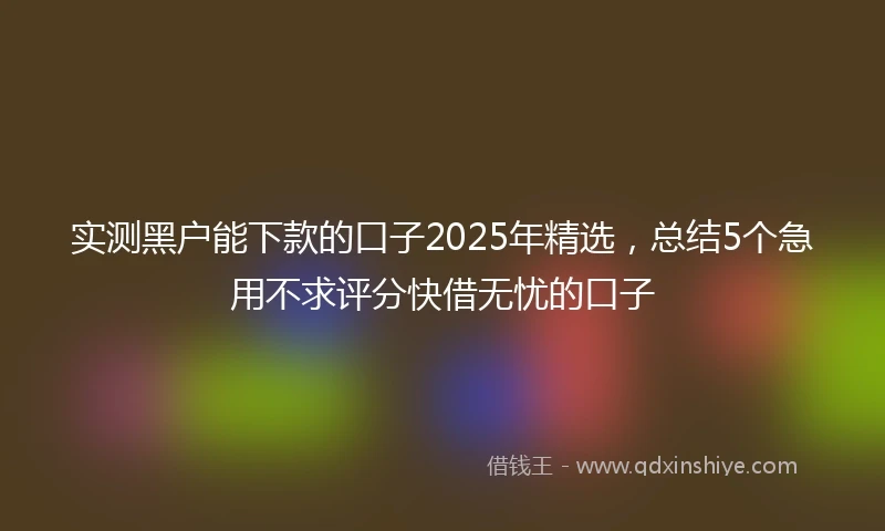 实测黑户能下款的口子2025年精选,总结5个急用不求评分快借无忧的口子