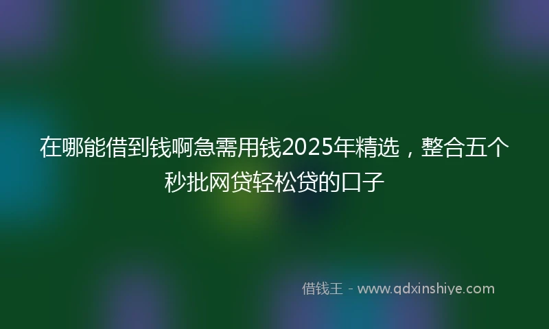 在哪能借到钱啊急需用钱2025年精选，整合五个秒批网贷轻松贷的口子