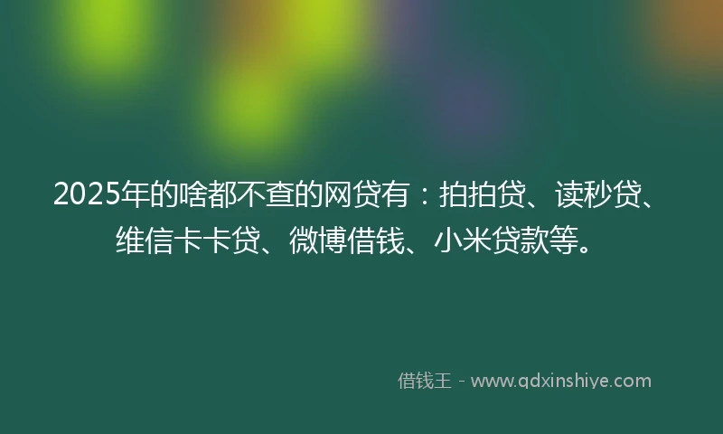 2025年的啥都不查的网贷有：拍拍贷、读秒贷、维信卡卡贷、微博借钱、小米贷款等。
