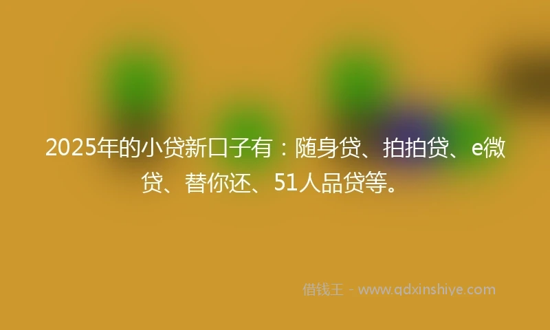 2025年的小贷新口子有：随身贷、拍拍贷、e微贷、替你还、51人品贷等。