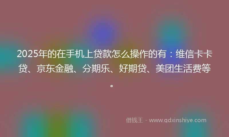 2025年的在手机上贷款怎么操作的有：维信卡卡贷、京东金融、分期乐、好期贷、美团生活费等。