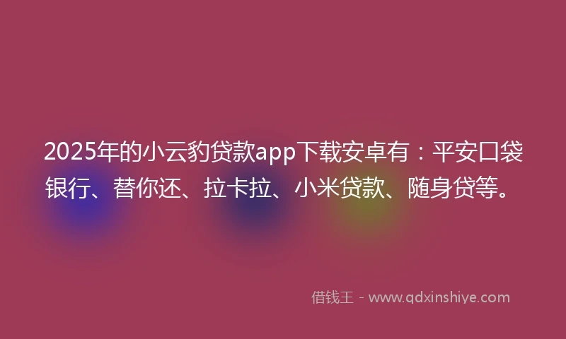 2025年的小云豹贷款app下载安卓有：平安口袋银行、替你还、拉卡拉、小米贷款、随身贷等。