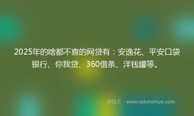 2025年的啥都不查的网贷有：安逸花、平安口袋银行、你我贷、360借条、洋钱罐等。