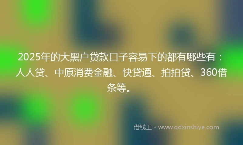 2025年的大黑户贷款口子容易下的都有哪些有：人人贷、中原消费金融、快贷通、拍拍贷、360借条等。