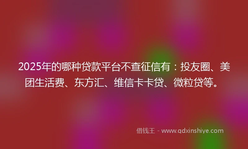 2025年的哪种贷款平台不查征信有：投友圈、美团生活费、东方汇、维信卡卡贷、微粒贷等。