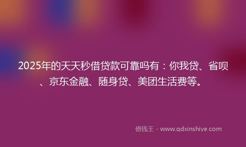 2025年的天天秒借贷款可靠吗有：你我贷、省呗、京东金融、随身贷、美团生活费等。