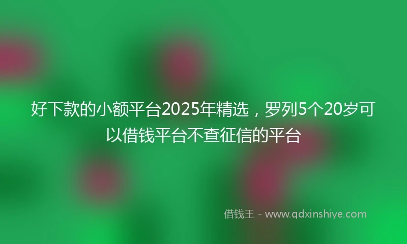 好下款的小额平台2025年精选，罗列5个20岁可以借钱平台不查征信的平台