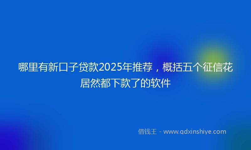 哪里有新口子贷款2025年推荐，概括五个征信花居然都下款了的软件