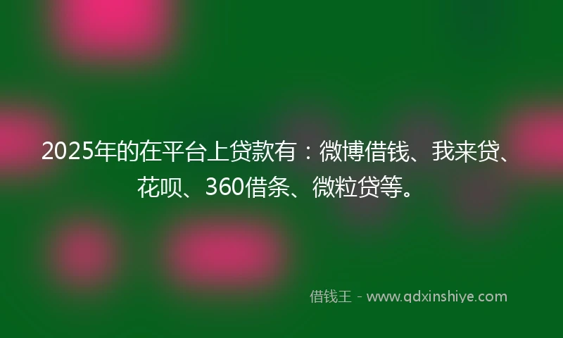 2025年的在平台上贷款有：微博借钱、我来贷、花呗、360借条、微粒贷等。