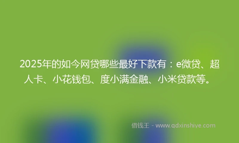 2025年的如今网贷哪些最好下款有：e微贷、超人卡、小花钱包、度小满金融、小米贷款等。