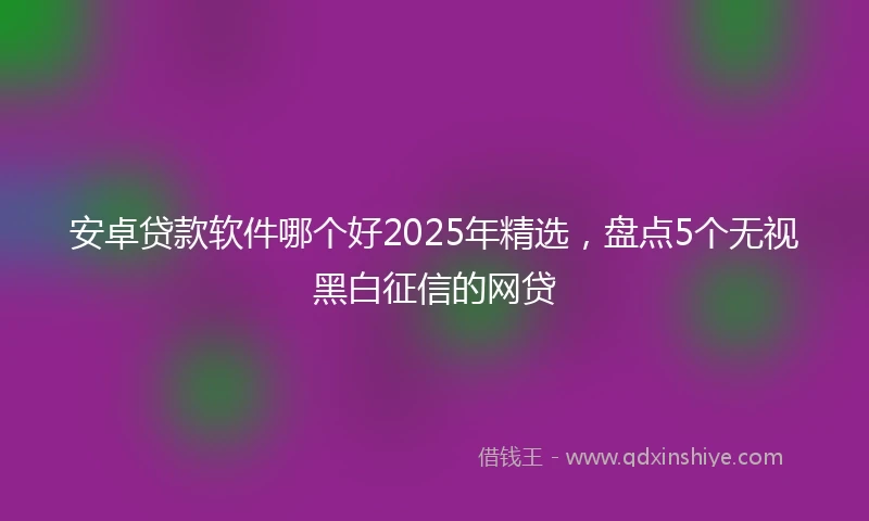 安卓贷款软件哪个好2025年精选，盘点5个无视黑白征信的网贷