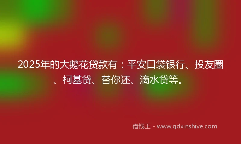 2025年的大鹅花贷款有：平安口袋银行、投友圈、柯基贷、替你还、滴水贷等。