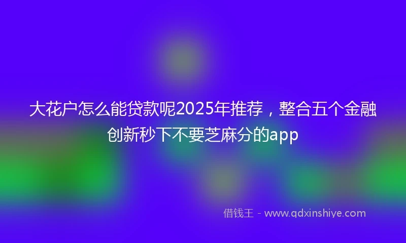 大花户怎么能贷款呢2025年推荐，整合五个金融创新秒下不要芝麻分的app
