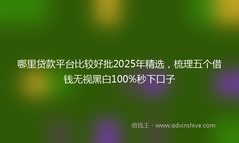 哪里贷款平台比较好批2025年精选，梳理五个借钱无视黑白100%秒下口子